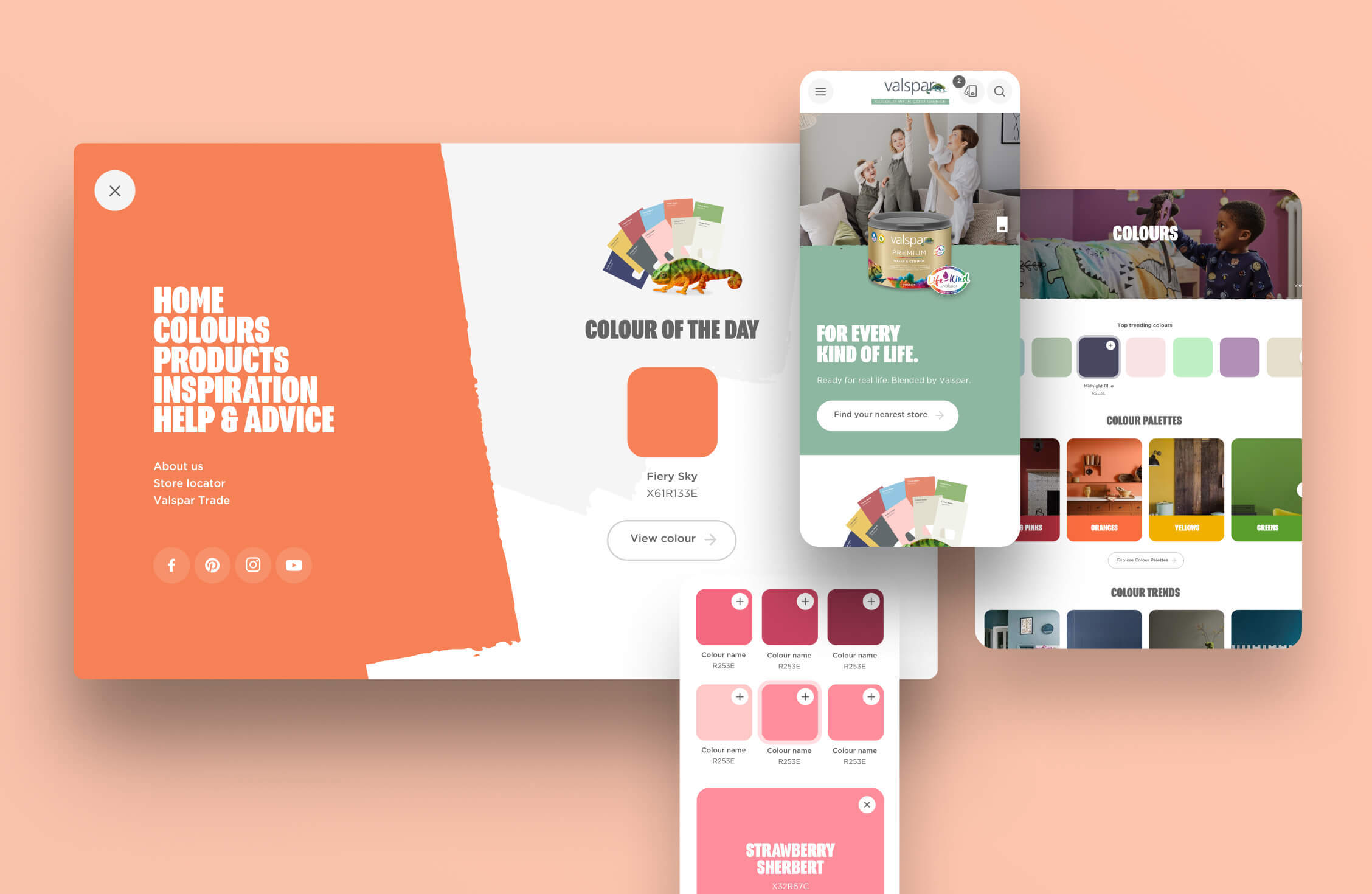 Ed Valspar Case Study Inline Content 04